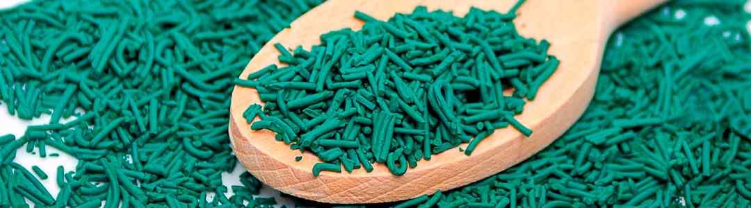 PAillettes de spiruline dans une cuillère en bois